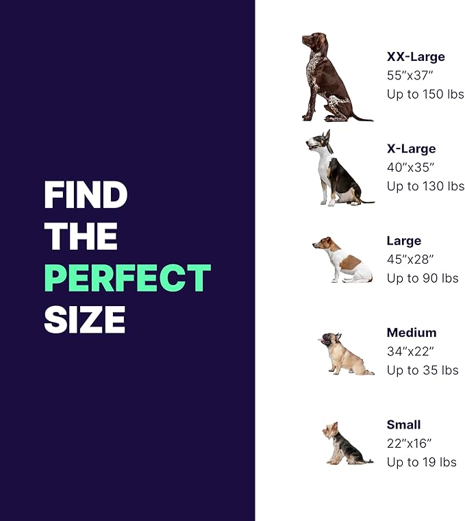 Pet Support Systems Orthopedic Dog Bed - Gel Memory Foam Pet Bed, Luxury Washable Dog Bed for Sleeping and Support (Removable Cover, Small Gray Dog Bed)