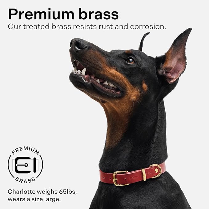 Classic Genuine Leather Dog Collar | Dog Collars for Medium Dogs, Small Dogs, Large Dogs & Extra Large Dog | Wide Dog Collar | Heavy Duty Collar (Red, Large)