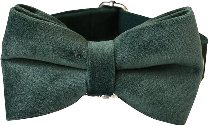 Dog Collar Custom Personalized Engraved Name and Phone Number for Puppy Small Medium Large Pets (S, Green)