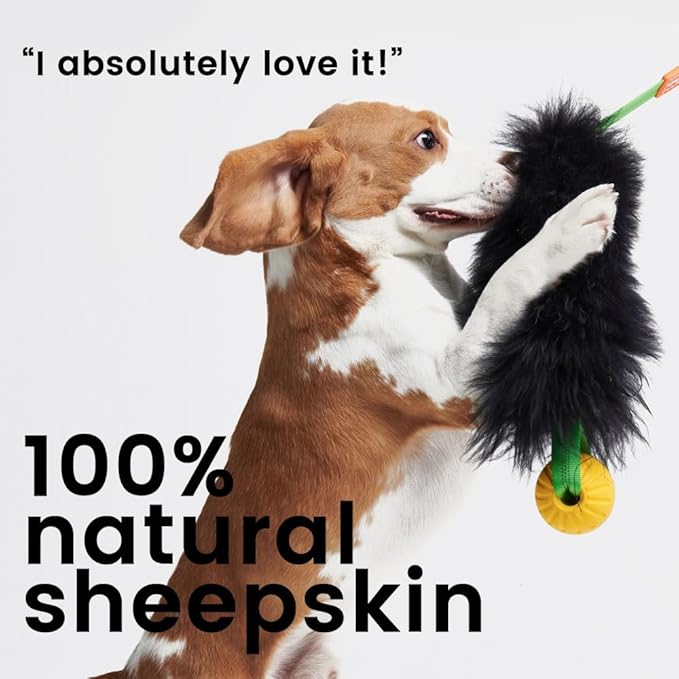HOWGO Dog Rope Toy,Dog Bungee Chaser Toy 100% Sheepskin,Sheep Smell Tug Toy for All Breeds (Green, Long Without Ball)