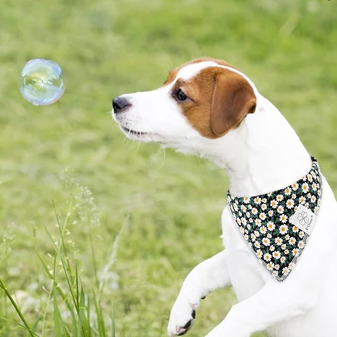 E-Clover Dog Bandanas & Matching Scrunchie Set Girl Dog Scarf Bibs with Bow Scrunchie for Small Dogs Puppy Pet Owner Gifts Flower Black