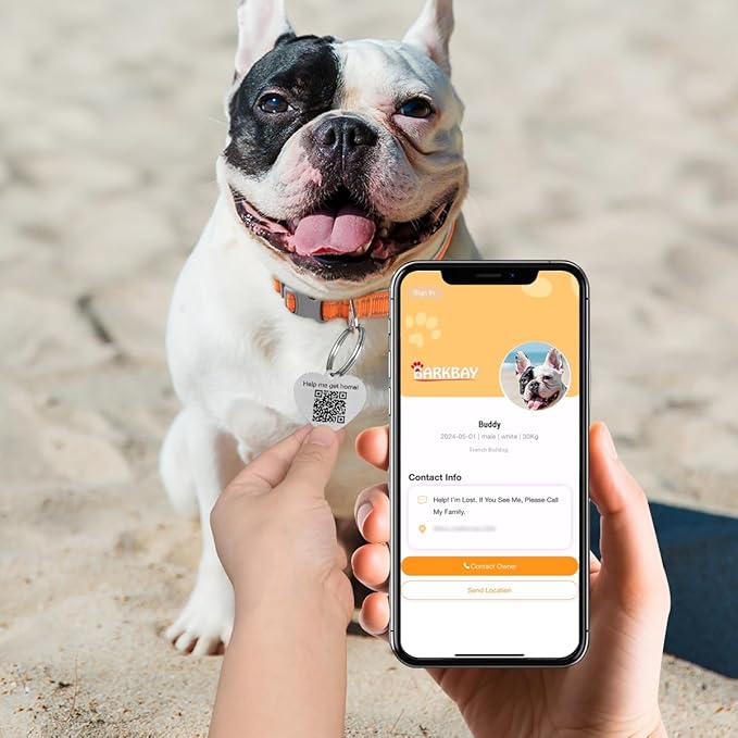 Dog Tags Personalized for Pets,Dog Name Tags QR Code,No Subscription Fees,Modifiable Pet Online Profile,Stainless Steel,No App Required,for Dogs and Cats Small,Medium,Large(Heart,Regular)