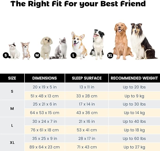 Miguel Washable Cat Beds for Indoor Cats with Removable Cushion/Pillow, Easy to Wash Small Dog Bed with Side, Large Rectangle Kitten Bed Cuddle Puppy Bed with Anti-Slip Bottom, Gray 20 Inch