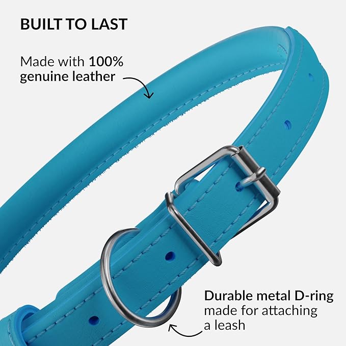 CollarDirect Rolled Leather Dog Collar, Soft Padded Round Puppy Collar, Handmade Genuine Leather Collar Dog Small Large Cat Collars 13 Colors (6 Inch, Light Blue)