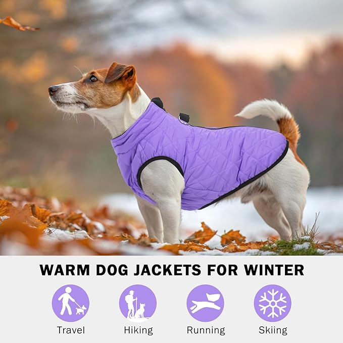 SCENEREAL Dog Winter Coat - Warm Dog Jacket with Built-in Harness for Small & Medium Dogs, Waterproof Cold Weather Coat with Zipper, Fleece Puffer Vest Windproof Snow Clothes for Puppy & Pet