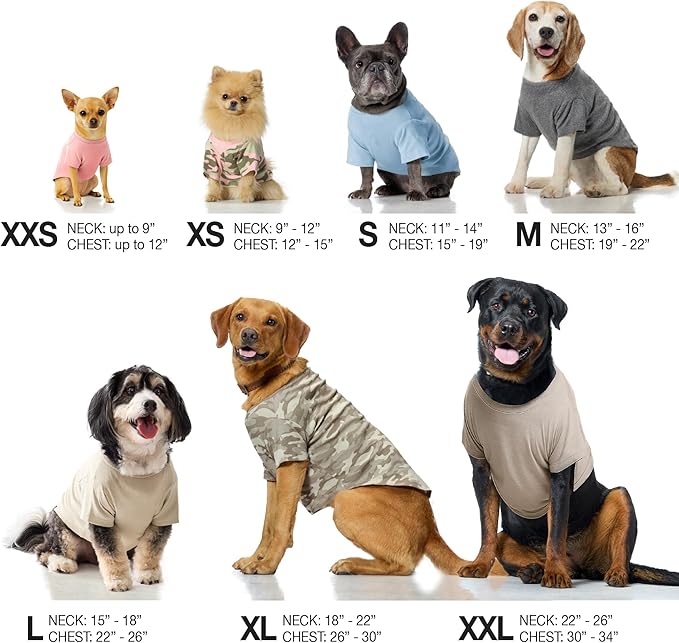 Toby II - The Perfect Tee, 8 Pack Short Sleeve Pet T-Shirt 100% Organic Cotton Tees Clothes for Small, Medium, Large Dogs, Rainbow Blue, XX-Small