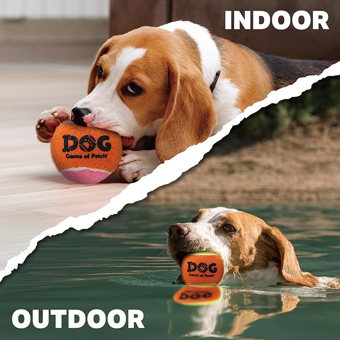AMA SPORT Squeaky Tennis Balls for Dogs 2.0" Small Dog Tennis Balls for Throwing and Fetching Dog Toys for Training, Exercise, High Bouncing 4 Pack (Orange Light Blue)