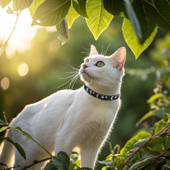 EXPAWLORER Halloween Leather Cat Collar - Adjustable Pet Collar with Rivet Spike for Girl Boy Cats, Punk Accessories with Bell & Durable D-Ring, Star & Moon