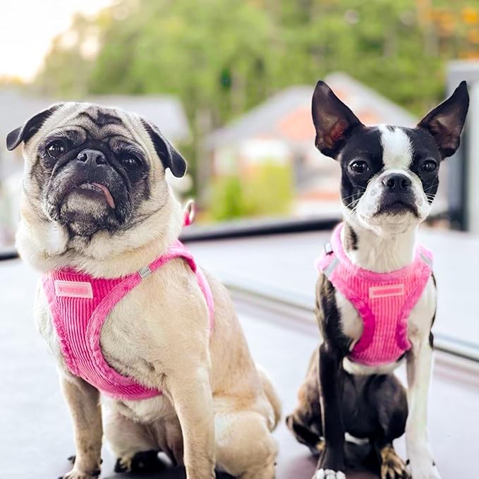 Best Pet Supplies - All Weather Mesh/Plush, Reflective, No Pull Harness for Small, Medium Dogs, Cats - Secure with Hook & Loop Fastener, Buckle, Double D-Rings - Fuchsia Corduroy, L