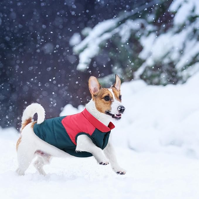 ASENKU Dog Winter Coat - Waterproof Windproof Dog Jacket, Warm Snowproof Doggie Puffer Vest for Cold Weather, Lightweight Snow Coats for Small Medium Large Dogs (Red&Navy, XL)