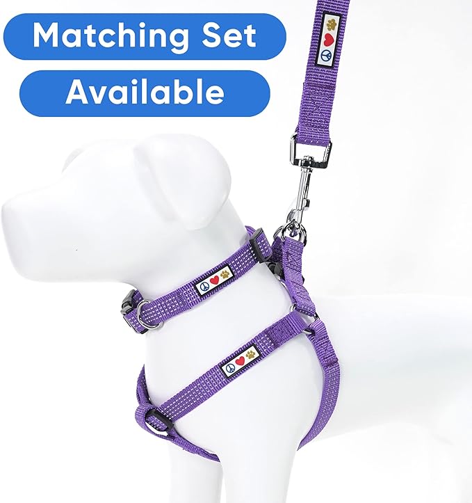 Pawtitas 6 FT Comfortable Dog Leash - Reflective Handle, Heavy Duty Training Leash for Puppies & Small Dogs - Purple