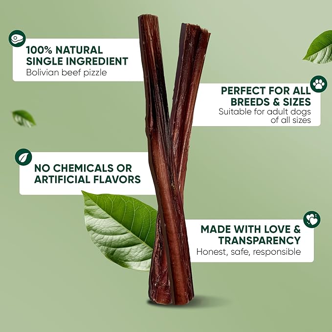 MASSTICK Bully Sticks for Dogs 4 Inch – Extra Thick, Long Lasting, Odor Free Beef Dog Chew Sticks – All Natural, Fully Digestible Treats for Small & Large Dogs – 8oz Bag