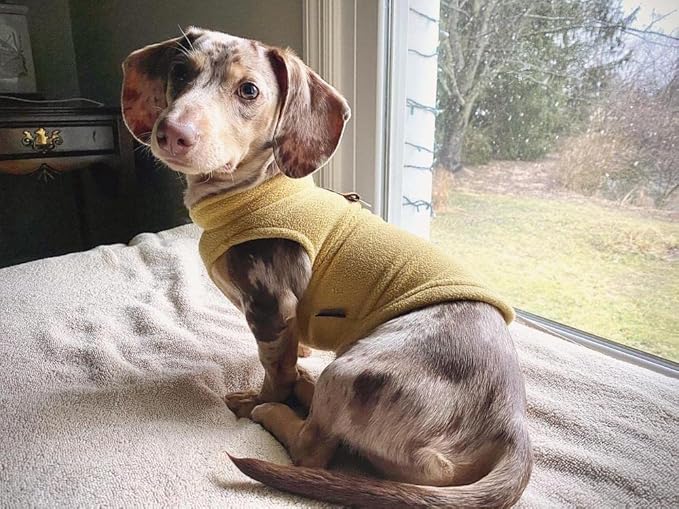 Gooby Fleece Vest Dog Sweater - Honey Mustard, Small - Warm Pullover Fleece Dog Jacket with O-Ring Leash for Small to Medium Dogs