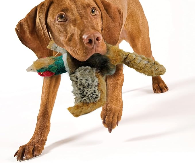 ALL FOR PAWS Classic Dog Pheasant Toys, Squeaky Dog Toys Stuffed Animal Dog Hunting Plush Toy, Large