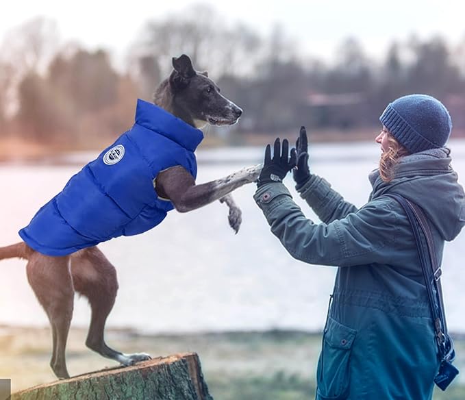 Kuoser Dog Coat Puffer Vest, Warm Dog Jacket Windproof Dogs Cold Weather Coats Pet Snowsuit Padded Vests, Lightweight Puppy Winter Clothes for Small Medium Dogs, Button Design, Easy On/Off, Blue M