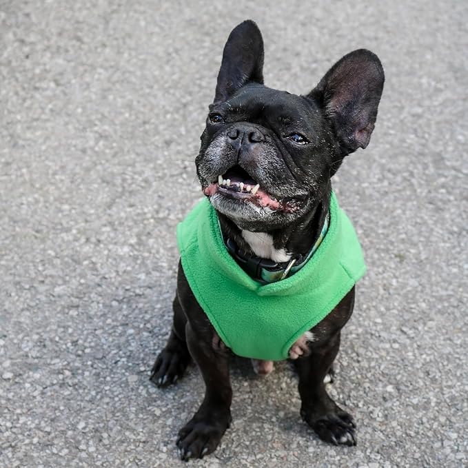 JACKO & CO - Fleece Vest Dog Sweater with Leash Ring - Soft, Warm & Lightweight Pullover Coat for Small & Medium Dogs, Puppies & Cats - Cozy Fall/Winter/Spring Pet Jacket (Green, X-Large 17-25lbs)