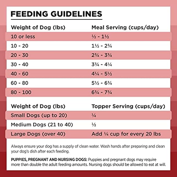 BIXBI Rawbble Freeze Dried Dog Food, Beef Recipe, 4.5 oz - 98% Meat and Organs, No Fillers - Pantry-Friendly Raw Dog Food for Meal, Treat or Food Topper - USA Made in Small Batches