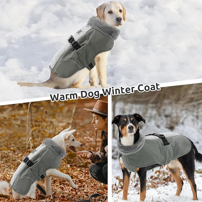 Queenmore Winter Dog Jacket - Warm Reflective, Waterproof Coat for Small Dogs, Grey, S
