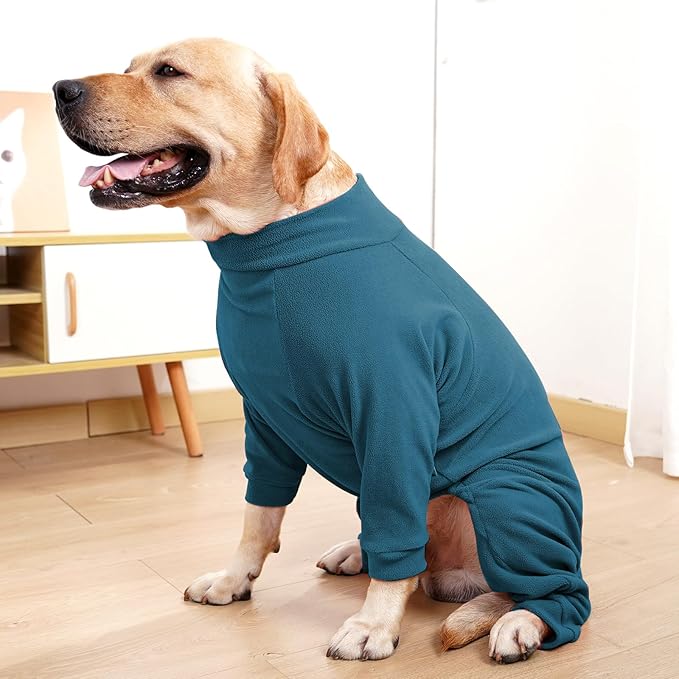 Dog Winter Coat for Small Medium Large Dog for Run Walk Sleep Pet Warm Fleece Sweater & Windproof Pajamas Snow Jacket Xs Turquoise