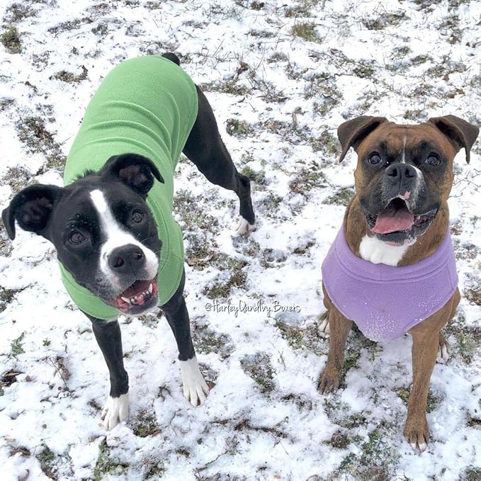 Gooby - Stretch Fleece Vest, Pullover Fleece Vest Jacket Sweater for Dogs, Grass Green, 4X-Large