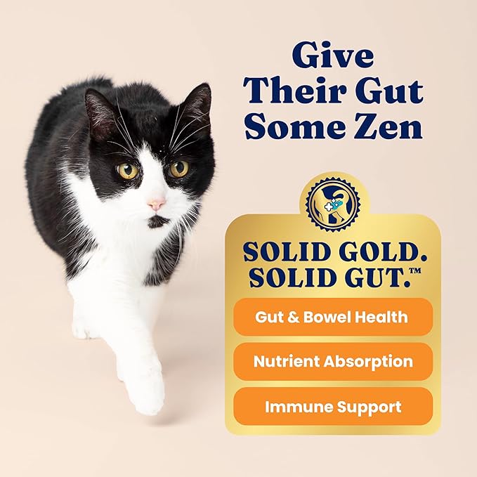 Solid Gold Dry Cat Food for Indoor Cats of All Ages - W/Lamb, Brown Rice, Barley, Probiotics & Fiber for Gut Health- Holistic & Healthy Cat Kibble for Kittens & Adults - Dry Kibble for Cats - 12 LB