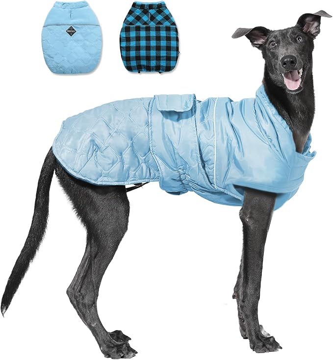 PAWZ Road Dog Winter Coat with 5 Layers Warm Material, Reversible Dog Clothes with 2 Sides, Dog Jacket Outdoor Water Repellent, (Blue Plaid XS)