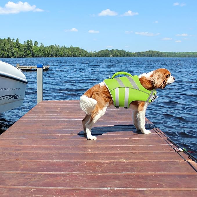Kuoser Large Breed Dog Life Jacket, XXL Reflective Swim Vest for Boating, Green