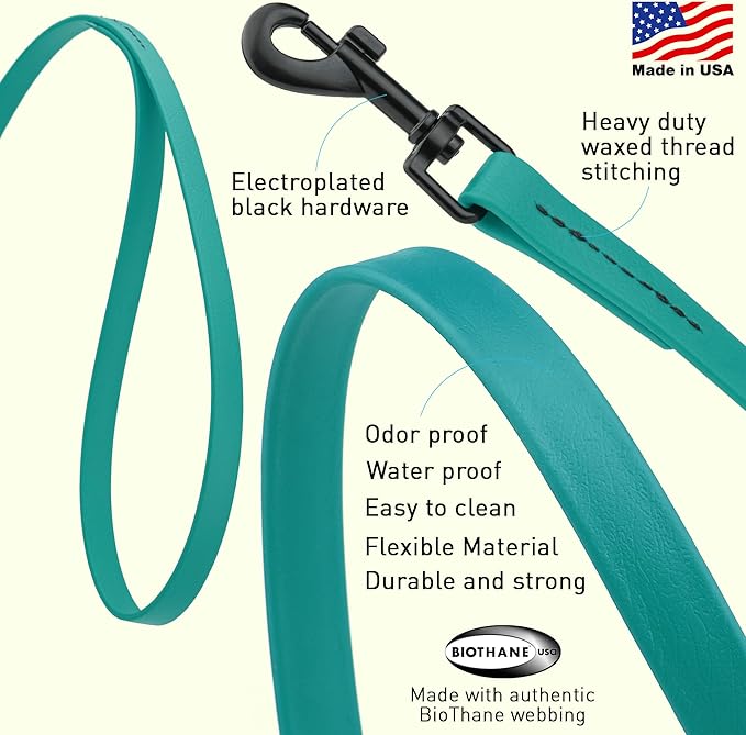 Dogline Biothane Waterproof Dog Leash Strong Coated Nylon Webbing with Black Hardware Odor-Proof Easy to Clean High Performance for Small or Large Dogs Made in USA 2 ft Lead, Blue Aqua