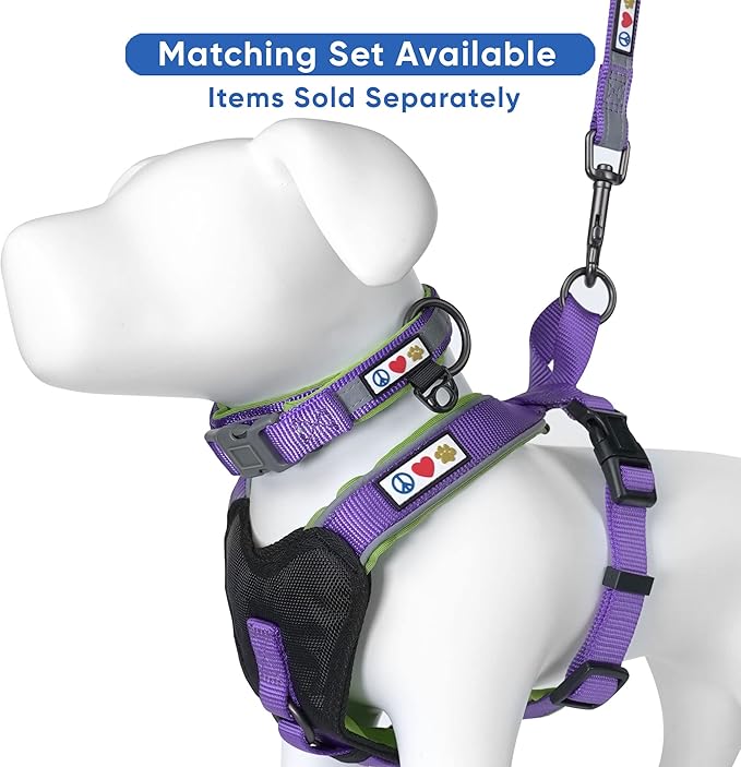 Pawtitas Personalized Dog Leash - Embroidered Custom Name & Phone Number, Reflective, 6 ft Long, Small, Purple Custom Tag