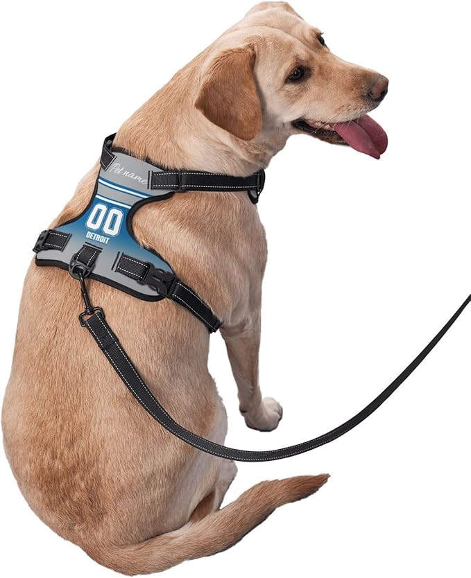Custom Detroit Dog Harness with Reflective Stripes Personalized Name and Number Dog Vest Harness with Pet Traction Rope for Small Medium Large Dog