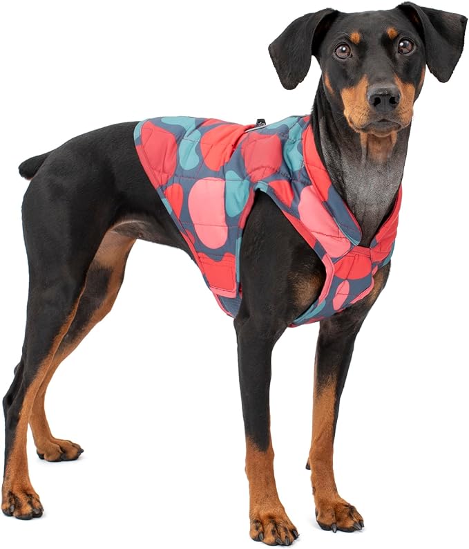 Kurgo Loft Dog Jacket - Reversible Cozy Coat for Outdoor Adventures - Water Resistant - Athletic Fit - Machine Washable Fabric - Reflective Dog Gear - X-Large - Lava Lamp