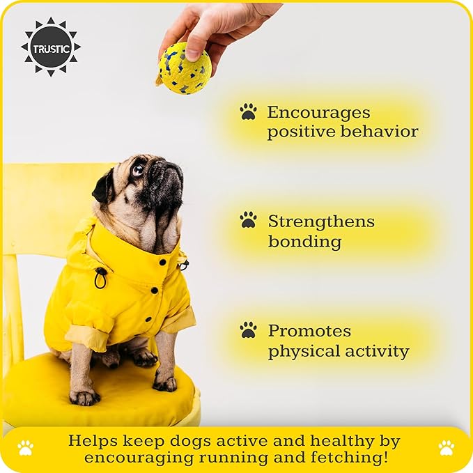 Foam Fetch Dog Balls 3 inch, for Large and Medium Breeds, Durable Toy for Chewers (White, 2 Pack)