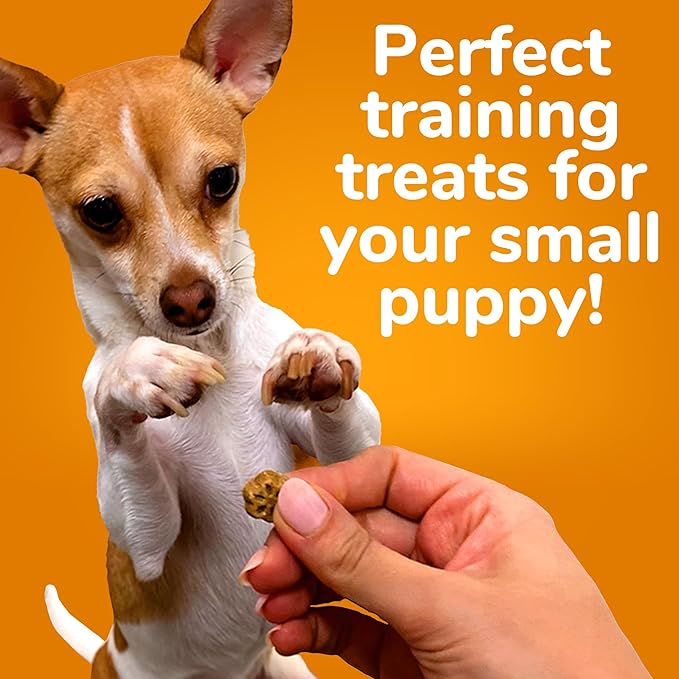 Fruitables Skinny Mini Dog Treats – Healthy, Low Calorie Training Treats – Wheat, Corn & Soy Free – Pumpkin Mango – 5 Ounces (Pack of 2)