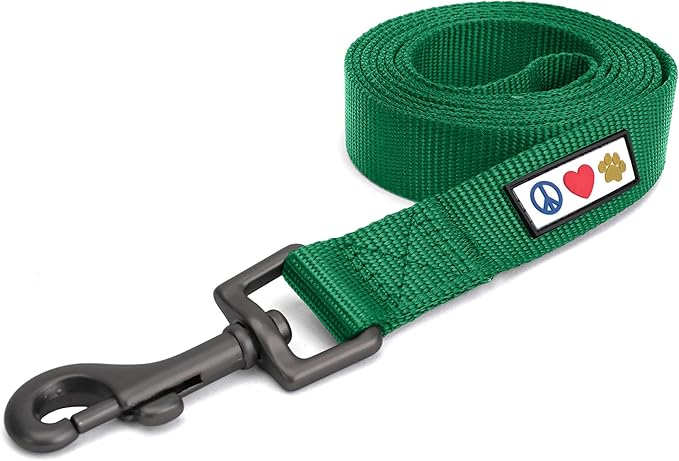 Pawtitas 6 FT Solid Lush Green Leash for Puppy Training - Extra Small to Small Dog Leash