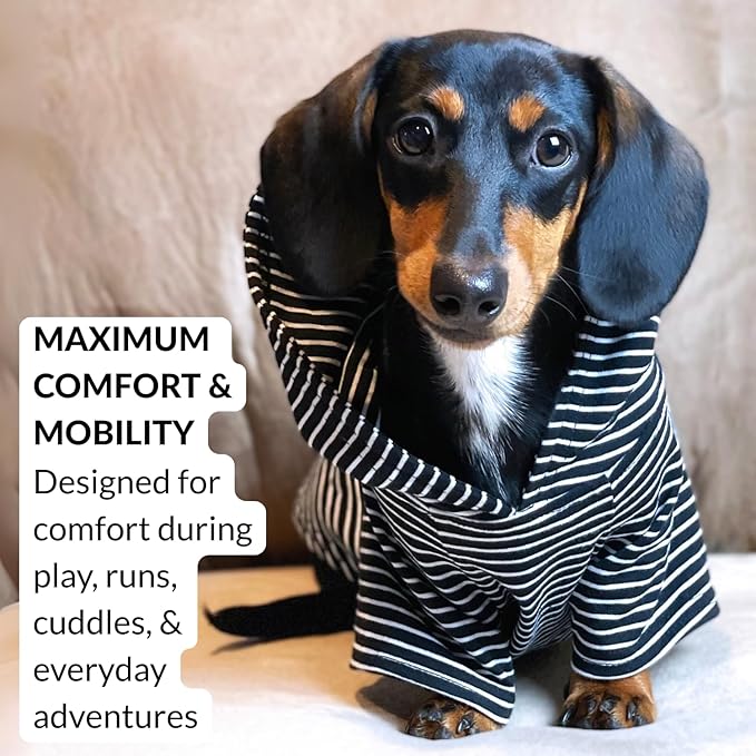 DJANGO Dog Hoodie – Warm, Lightweight, Soft & Stretchy Dog Sweater with Hood, Harness Hole & Elastic Waistband – Cozy Sweatshirt for Small Dogs up to 25 lbs, Dachshunds & Puppies – Black, Medium