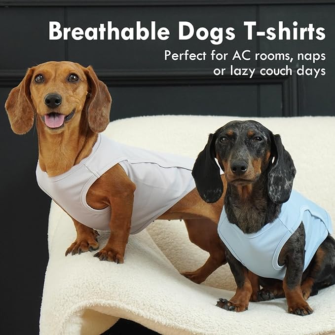 2 Pack Dog Shirt, Quick Dry Cooling T-Shirt for Summer Hot Day, Lightweight Sun Protection Dog Clothes for Boy Girl Easy to Put on, Blue+Grey, XL