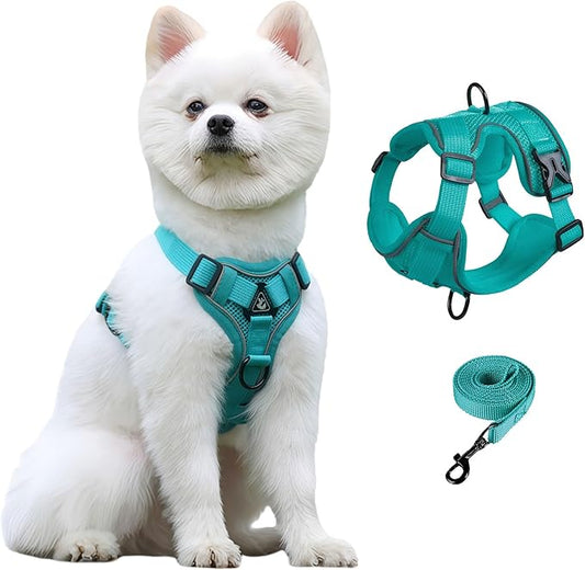 SOLMOONY Small Dog Harness,Soft Mesh Puppy Harness and Leash Set,No Escape Cat Harnesses for Training Walking,Reflective Adjustable Puppy Vest for Small Medium Dogs, Cats (Turquoise, S)