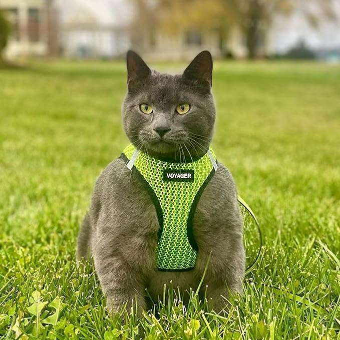 Best Pet Supplies Voyager Step-in Air Harness - All Weather Mesh, Reflective, No Pull Harness for Dogs, Cats - Secure with Hook & Loop Fastener, Buckle, Double D-Rings - Tone, M