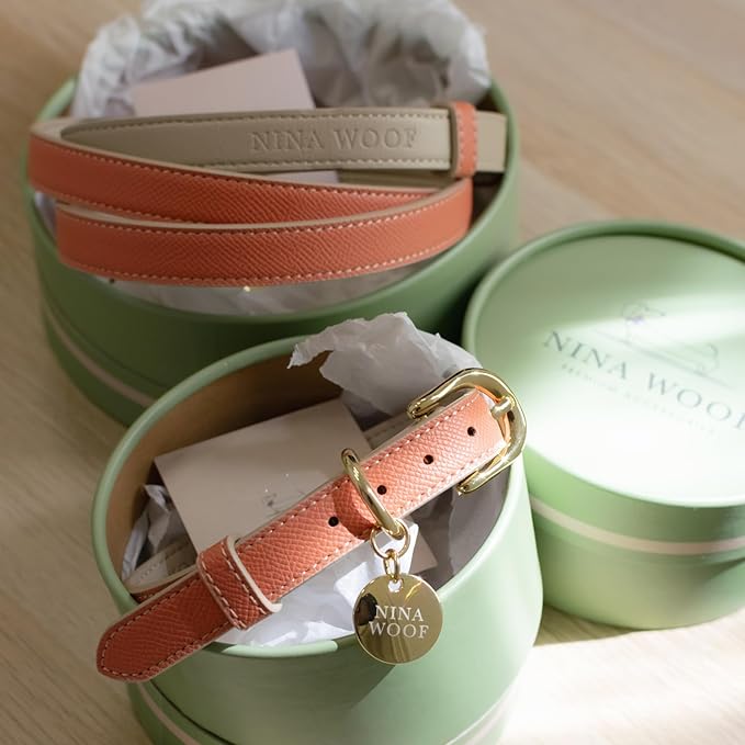 NINA WOOF Rio Padded Luxury Dog Collar - Vegan Leather, Adjustable Buckle - Fits Small to Large Dogs - Peach
