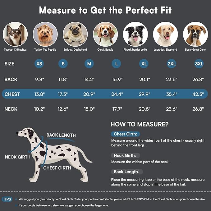Queenmore Dog Jackets for Large Dogs, Dog Coat with Harness Built in,Waterproof Dogs Coats with Zipper On Back,Warm Fleece Lining Cold Weather Pet Coats with Furry Collar for Labrador,Blue,L