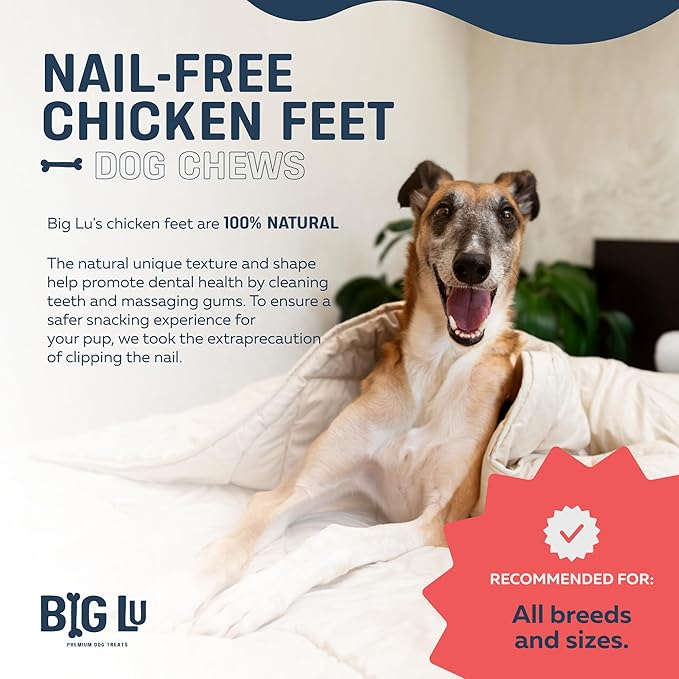 Big Lu – Nail-Free Chicken Feet Dog Chews, 100% Natural Single-Ingredient Treats, Rawhide-Free, Long-Lasting, Rich in Glucosamine and Chondroitin for Joint Health (60 Count)