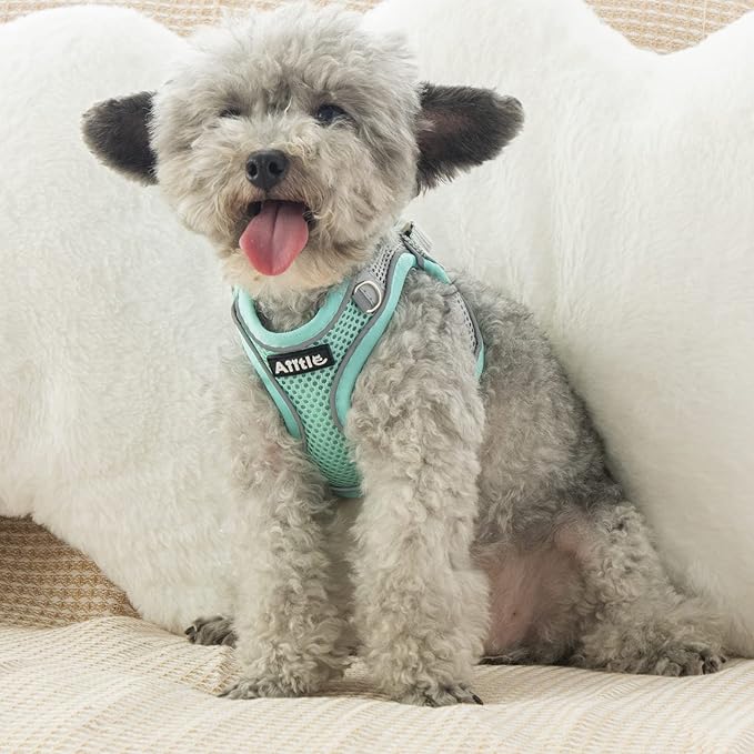 AIITLE Step in Dog Harness and Leash Set - Summer No Pull Escape Proof Vest Harnesses with Soft Mesh and Reflective Bands, Adjustable Pet Outdoor Harnesses for Small and Medium Dogs Turquoise M