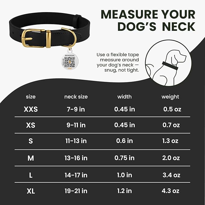 BRONZEDOG Leather Dog Collar with Metal Buckle Durable Basic Pet Collars for Small Medium Large Dogs (19-21 Inch (Pack of 1), Black & Gold Buckle)