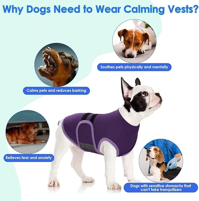 MIGOHI Dog Anxiety Relief Coat,Comfort Anxiety Vest for Dogs,Adjustable Dog Anxiety Calming Wrap for Fireworks,Thunderstorms,Travel, Separation,Anxiety Jacket for Small Dogs, XS,Purple