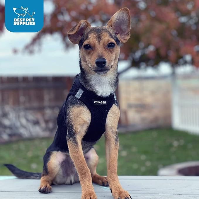 Voyager Step-In Air Dog Harness by Best Pet Supplies - All Weather Mesh Step in Vest Harness for Small and Medium Dogs, Black, size XL - Chest: 20.5 - 23"
