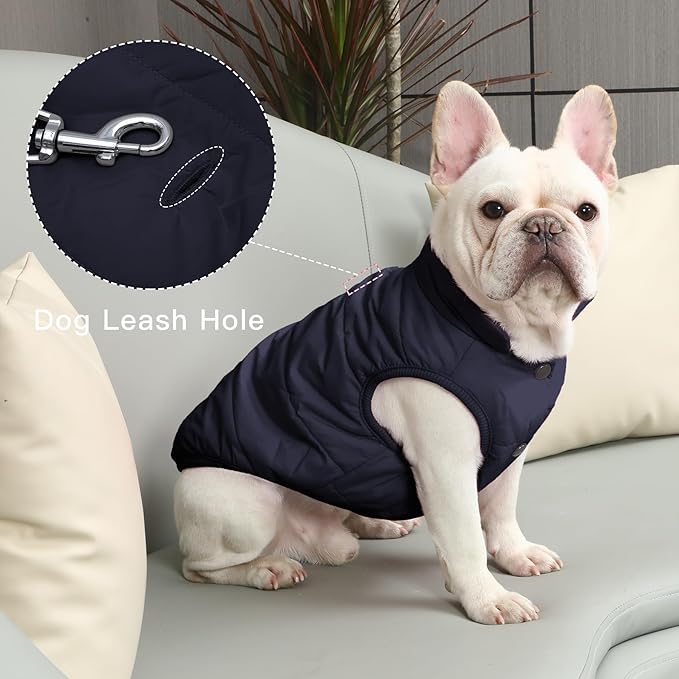 2 Layers Fleece Lined Warm Dog Jacket for Puppy Winter Cold Weather,Soft Windproof Small Dog Coat,Blue S