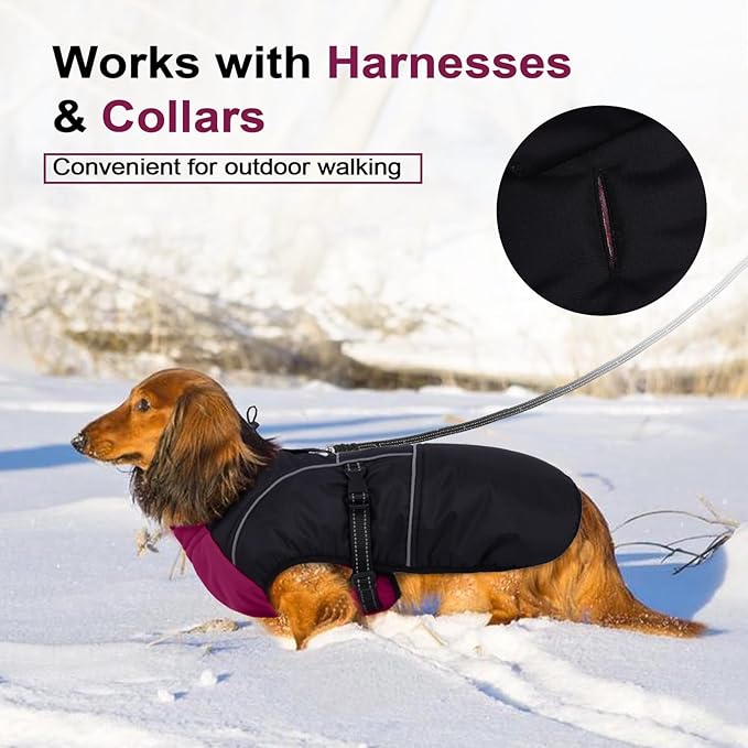 Lelepet Dachshund Coat Warm Dog Winter Coat Waterproof Dog Jacket with Fleece Lining, Reflective Outdoor Dachshund Snowsuit with Leash Hole Adjustable Neckline,Coats for Small Medium Dogs,Purple, L