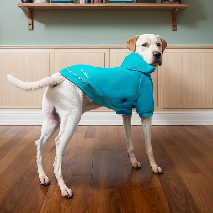 Basic Dog Hoodie Sweatshirts, Pet Clothes Hoodies Sweater with Hat and Leash Hole, Soft Cotton Outfit Coat for Small Medium Large Dogs, Royal Blue (X-Large)
