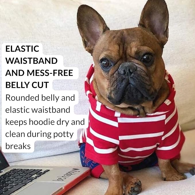 DJANGO Dog Hoodie – Warm, Lightweight, Soft & Stretchy Dog Sweater with Hood, Harness Hole & Elastic Waistband – Cozy Sweatshirt for Small Dogs up to 25 lbs, Dachshunds & Puppies – Crimson Red, XS