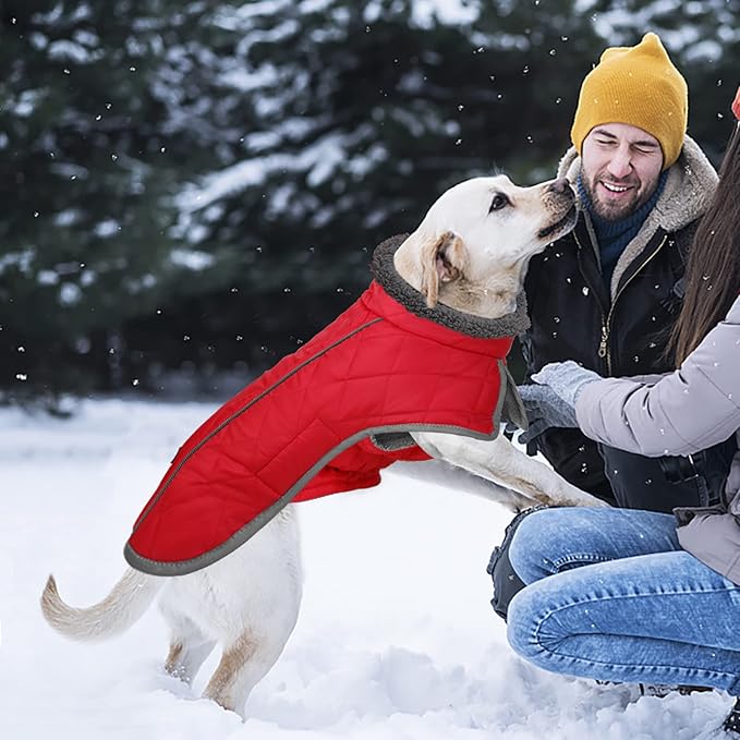 Fragralley Dog Coat Large, Waterproof Dog Jacket with Warm Fleece Lining, Adjustable Reflective Dogs Winter Coat, Turtleneck Pet Coats for Cold Weather (Red XL)